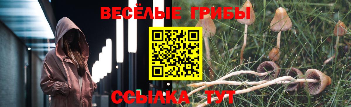 Псилоцибиновые грибы GOLDEN TEACHER Саяногорск