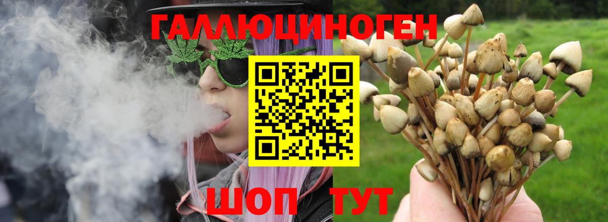 купить закладку  Вход с VPN  Псилоцибиновые грибы мухоморы  Саяногорск  Галлюциногенные грибы GOLDEN TEACHER 